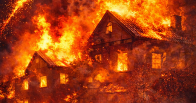 Hausbrand in der Silvesternacht in Hagen – rechtliche und versicherungstechnische Einordnung Brand durch Feuerwerk